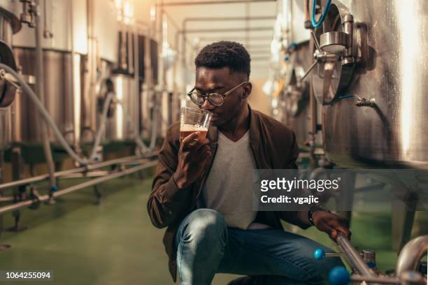 craft brewery - artisanal food and drink stock pictures, royalty-free photos & images