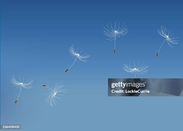 Floating High-Res Vector Graphic - Getty Images