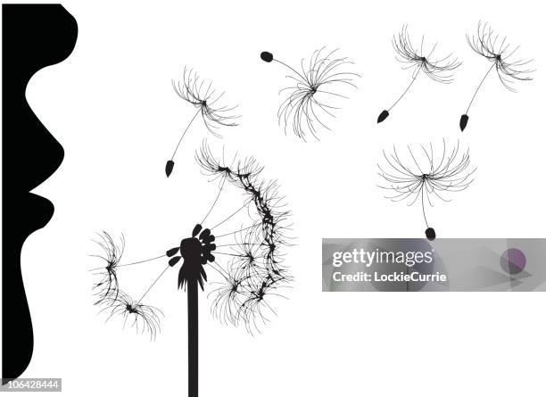 frau blasen löwenzahn - menschliche nase stock-grafiken, -clipart, -cartoons und -symbole