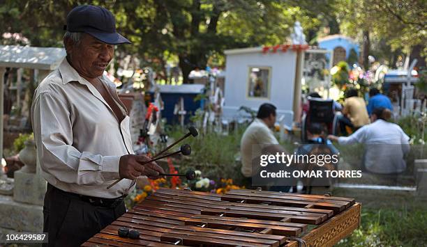 Musician plays the marimba as people pay respect to their dead relatives at a cemetery in Mexico City, on November 1 during All Saints' Day. AFP...