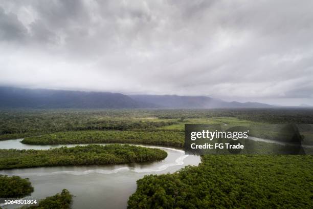 熱帯雨林 - northern brazil ストックフォトと画像