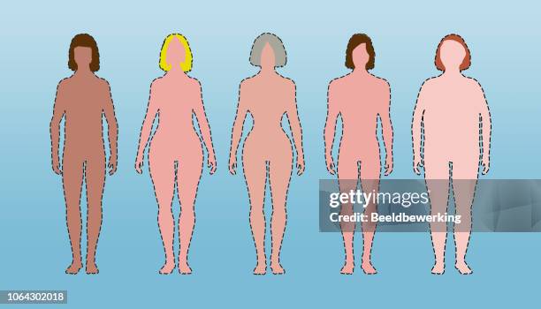 body types rectangle, pear, hourglass, triangle and apple shaped nude - fitting room stock illustrations