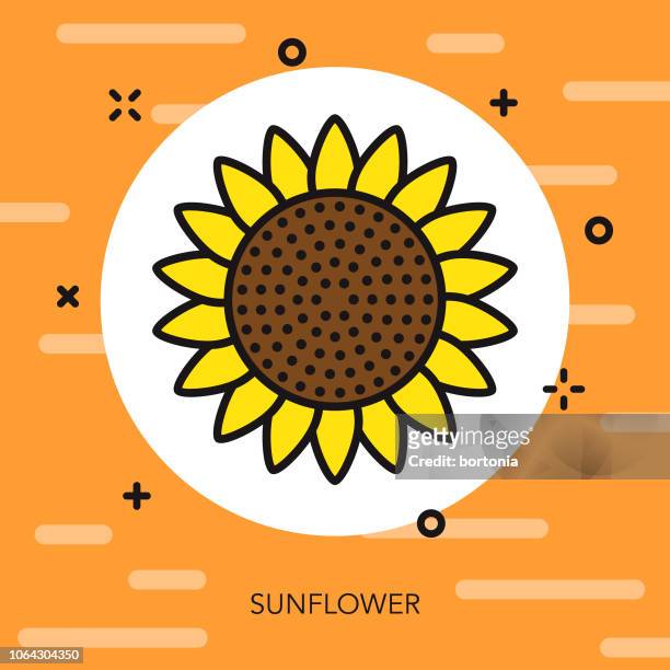 sunflower thin line agriculture icon - sunflower stock illustrations