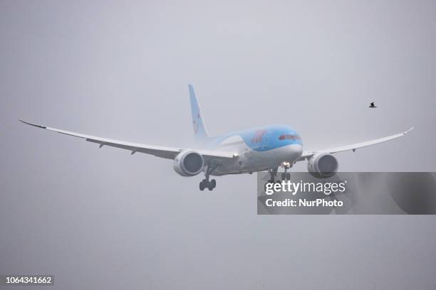 Airlines Netherlands Boeing 787-8 Dreamliner landing in the mist in Amsterdam Schiphol International Airport. The aircraft registration is PH-TFM....