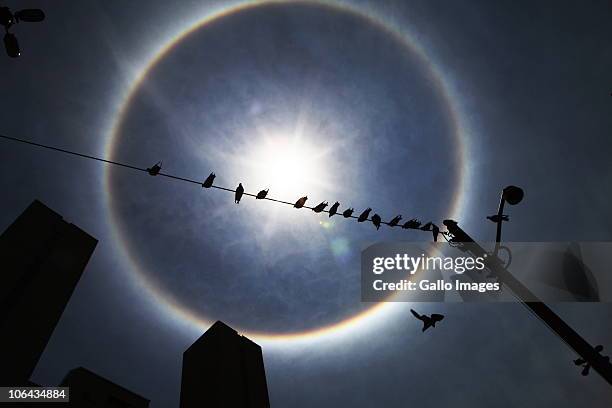 November 1 : South Africans were surprised to see a rainbow wrapped around the sun, almost like a halo, at around 10am on 1 November, 2010 in the sky...