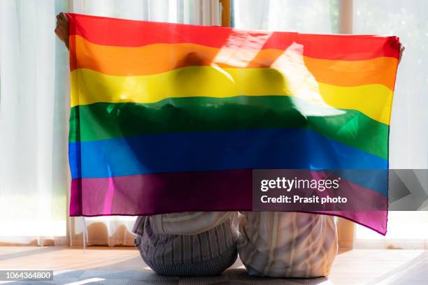 close up of happy male gay couple hugging and holding rainbow flag at home. - gay flag stock-fotos und bilder