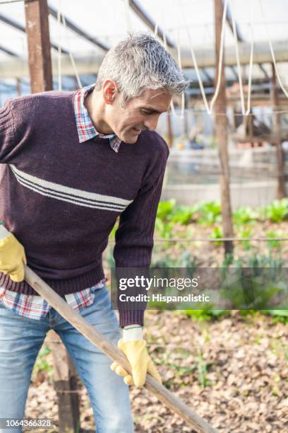 male farmer preparing the soil to plant seeds - cowboy v till stock pictures, royalty-free photos & images