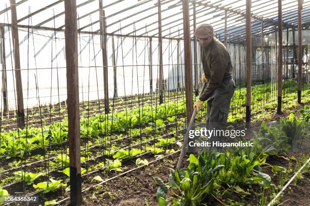 adult farmer preparing the crop - cowboy v till stock pictures, royalty-free photos & images