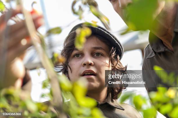 Portrait of young boy at a greenhouse learning about the different plants with his father