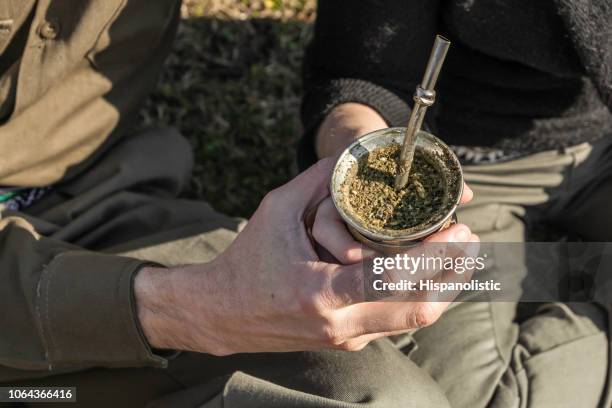 unrecognizable couple drinking mate while sitting on grass - chá mate imagens e fotografias de stock