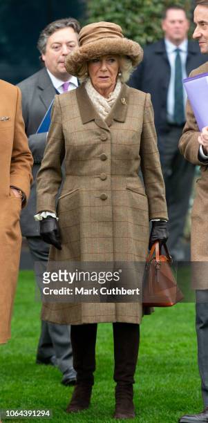 Camilla, Duchess of Cornwall attends the Princes Countryside Fund Racing Weekend at Ascot Racecourse on November 23, 2018 in Ascot, England. Prince...