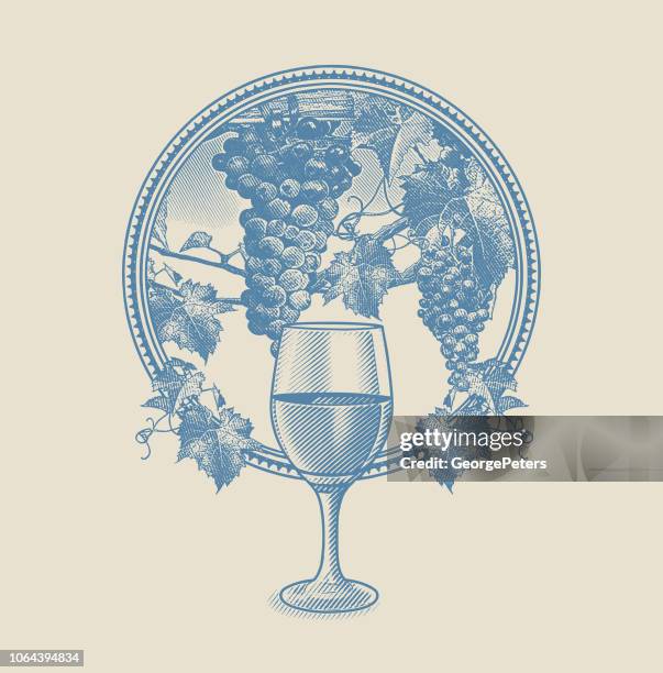 vineyard grapes and glass of wine in circle frame - wine tasting stock illustrations