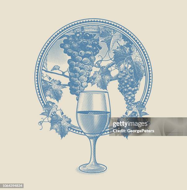 vineyard grapes and glass of wine in circle frame - wine label stock illustrations