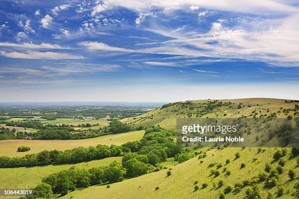 south downs; west sussex; england, great britain - sussex stock pictures, royalty-free photos & images