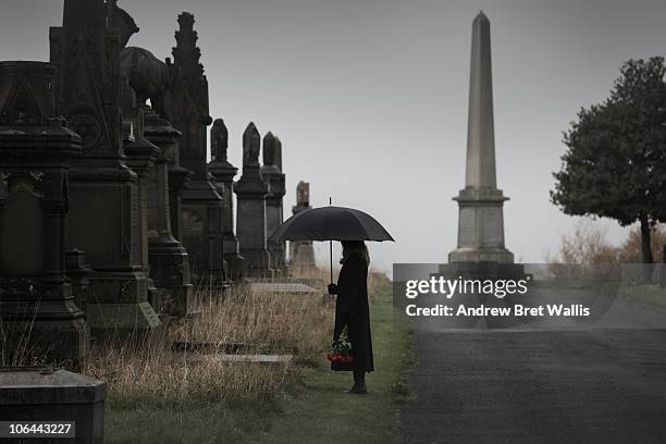 widow bringing roses to a grave in a cemetery - witwe stock-fotos und bilder