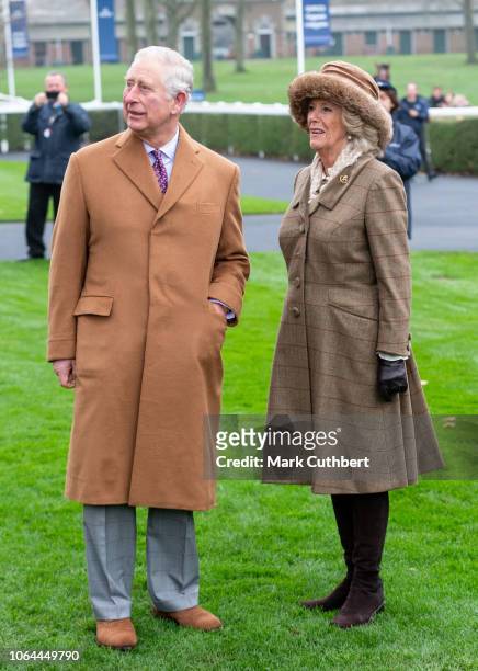 Prince Charles, Prince of Wales and Camilla, Duchess of Cornwall attend the Princes Countryside Fund Racing Weekend at Ascot Racecourse on November...