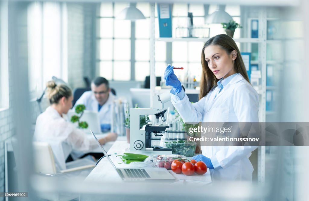 Female biologist analyzing tomatoes in laboratory