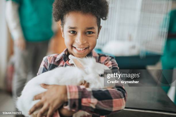ragazza nera felice con il suo coniglio all'ospedale veterinario. - coniglio animale foto e immagini stock