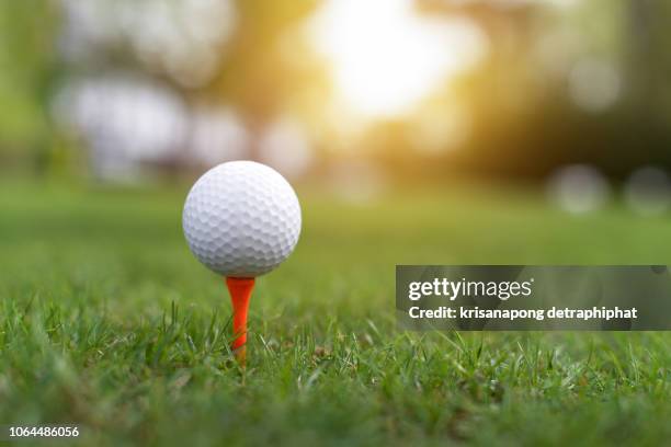 the golf ball is on the green,golf,golf ball on grass, - golfbaan green stockfoto's en -beelden