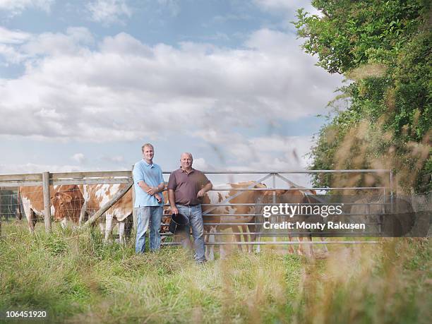 farmer and son with guernsey calves - dedication background stock pictures, royalty-free photos & images