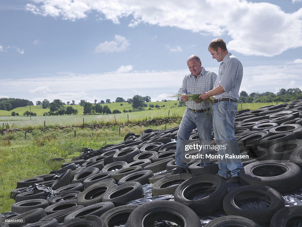 Farmers inspect grass on silage clamp
