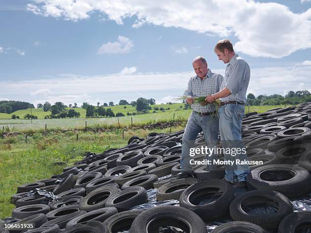 farmers inspect grass on silage clamp - ensilage bildbanksfoton och bilder