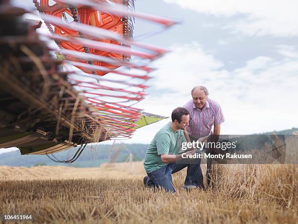 farmer and son inspecting crop - barley stock pictures, royalty-free photos & images