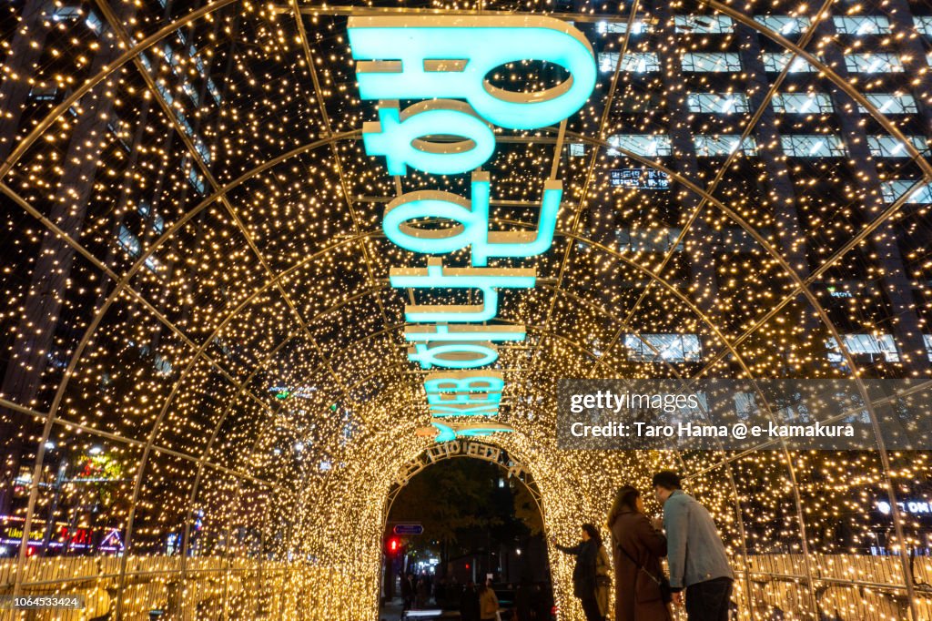 Seoul Lantern Festival