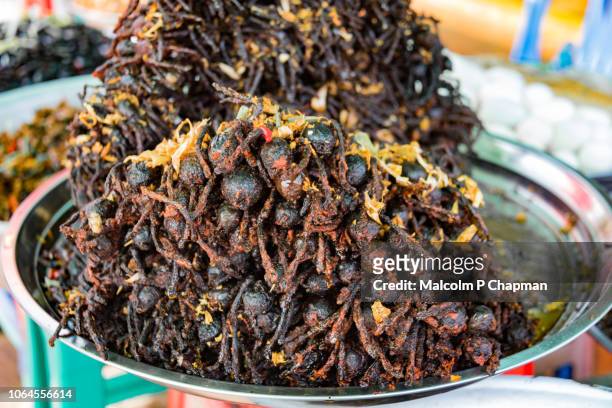 deep fried tarantulas, skuon, phnom penh, cambodia - tarantula stockfoto's en -beelden