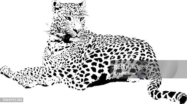 黑白相間的豹式肖像 - black panther 幅插畫檔、美工圖案、卡通及圖標