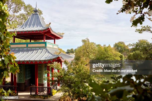 the chinese pagoda, in victoria park, london from a high angle view in autumn. - victoria park london stock-fotos und bilder
