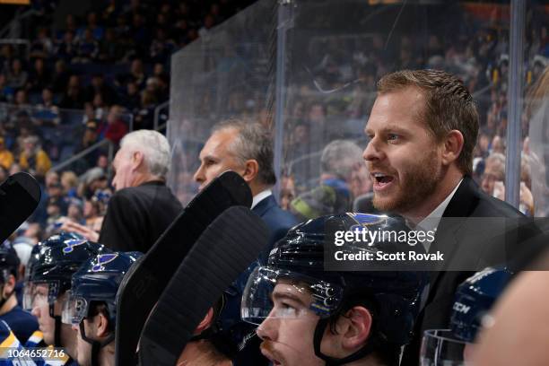 St. Louis Blues assistant coach Steve Ott on the bench during the game against the Nashville Predators at Enterprise Center on November 23, 2018 in...