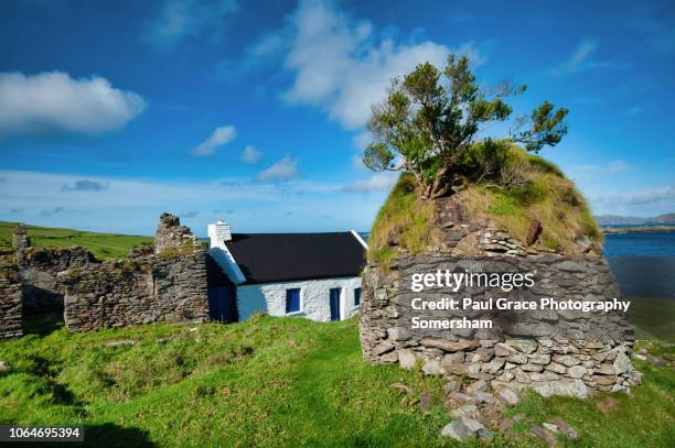 abandoned houses on the great blasket island. ireland. - great blasket island stock-fotos und bilder