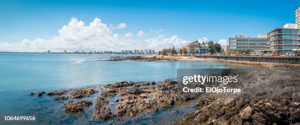 view of punta del este's coastline, waterfront, uruguay - punta del este stock-fotos und bilder