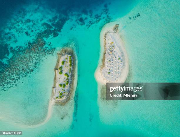 malediven süd ari atoll - ari stock-fotos und bilder