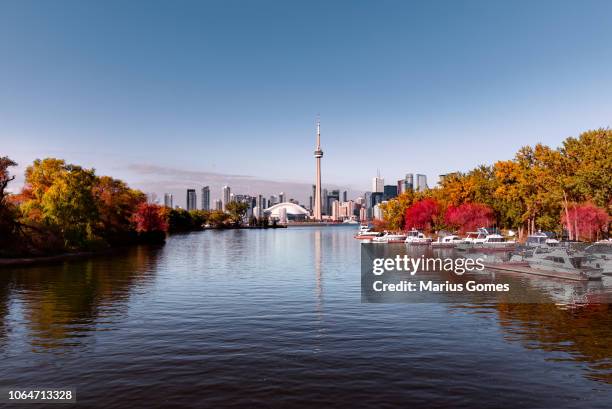 view of toronto skyline from lake with seasonal autumn trees - toronto stock-fotos und bilder