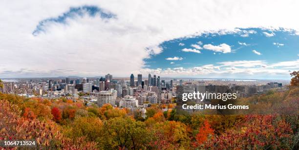 montreal skyline with autumn foliage from mont royal kondiaronk belvedere - montréal stock pictures, royalty-free photos & images