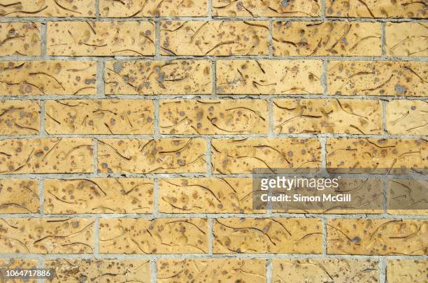 cream brick wall - beige brick stock pictures, royalty-free photos & images