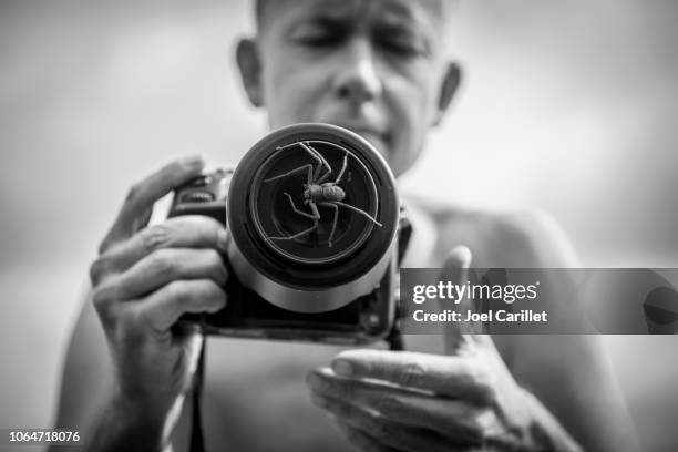 fotograaf met de camera probleem - grote spin belemmeren lens - huntsman spider stockfoto's en -beelden