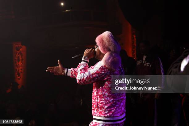 Cam'ron performs at The Apollo Theater on November 23, 2018 in New York City.