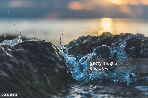 surface de l’eau au coucher du soleil sur hiddensee / allemagne - hiddensee photos et images de collection