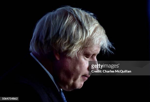 Conservative MP Boris Johnson delivers his speech during the Democratic Unionist Party annual conference at the Crown Plaza Hotel on November 24,...