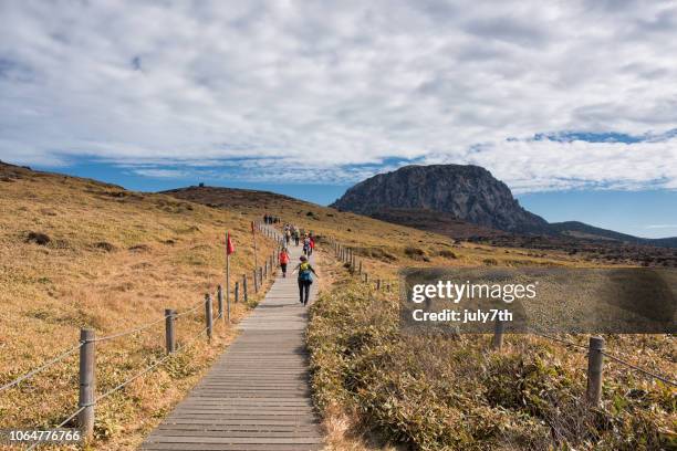 climbing hallasan, hallasan youngsil course, whitseom - jeju island stock pictures, royalty-free photos & images