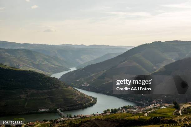 douro valley at sunset. - porto portugal wine stock pictures, royalty-free photos & images