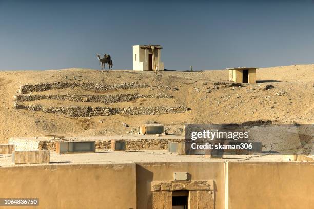 camel for tourist near djoser step pyramid saqqara egypt - tutankhamun stock pictures, royalty-free photos & images