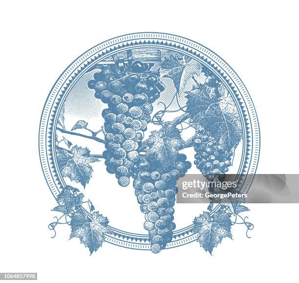 vineyard grapes circle frame - wine tasting stock illustrations