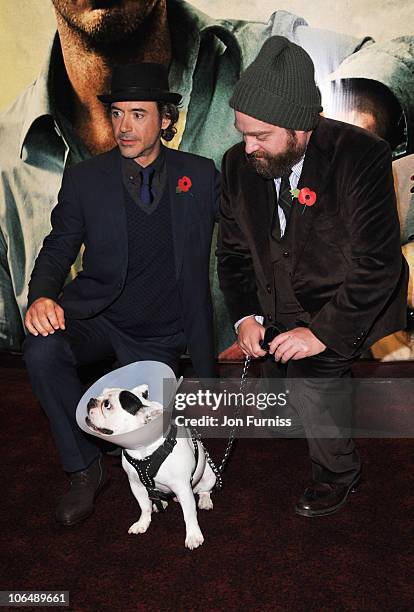 Actors Robert Downey Jr and Zach Galifianakis attend the European Premiere of "Due Date" at Empire Leicester Square on November 3, 2010 in London,...
