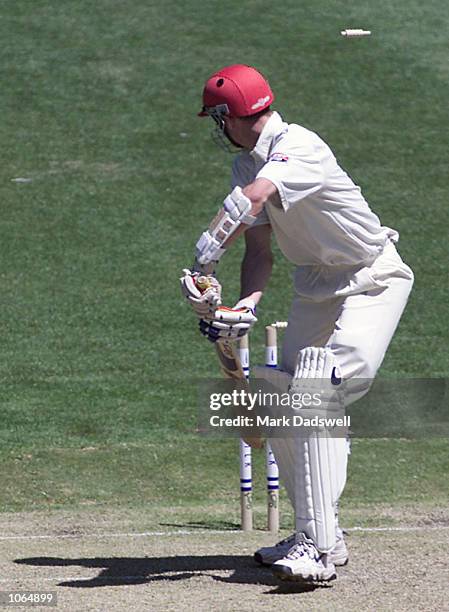 Paul Rofe 106 Vic Lewis Cricket Club Stock Photos, High-Res Pictures, and Images ...