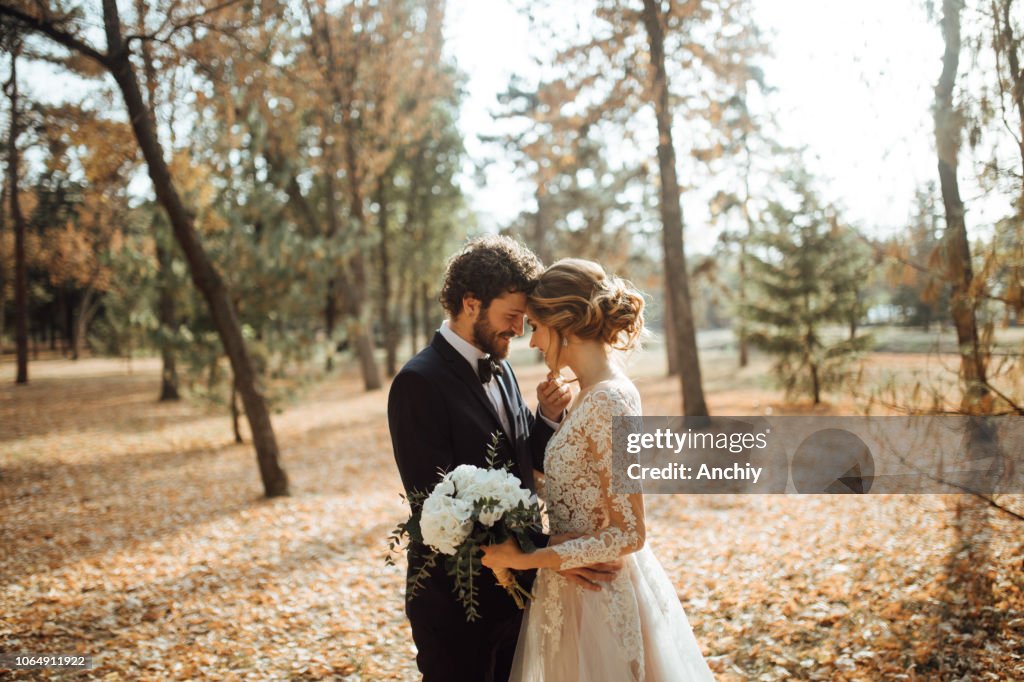 Beautiful wedding couple in park.