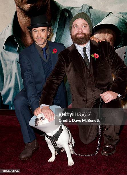 Actors Robert Downey Jr and Zach Galifianakis attend the 'Due Date' Premiere at The Empire Cinema, Leicester Square on November 3, 2010 in London,...